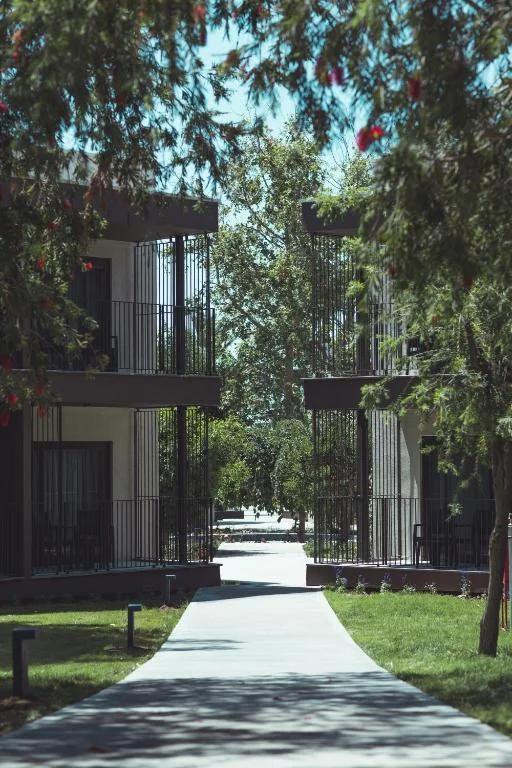 Paloma Orenda - Fotoja 9