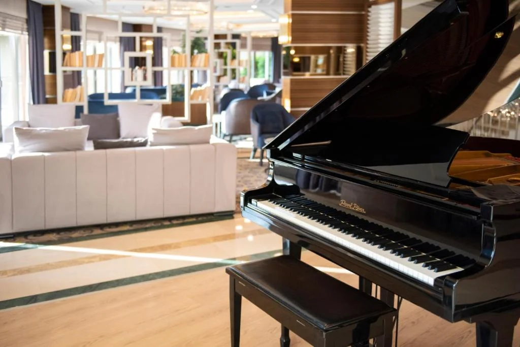 Side Star Park Hotel - Fotoja 9