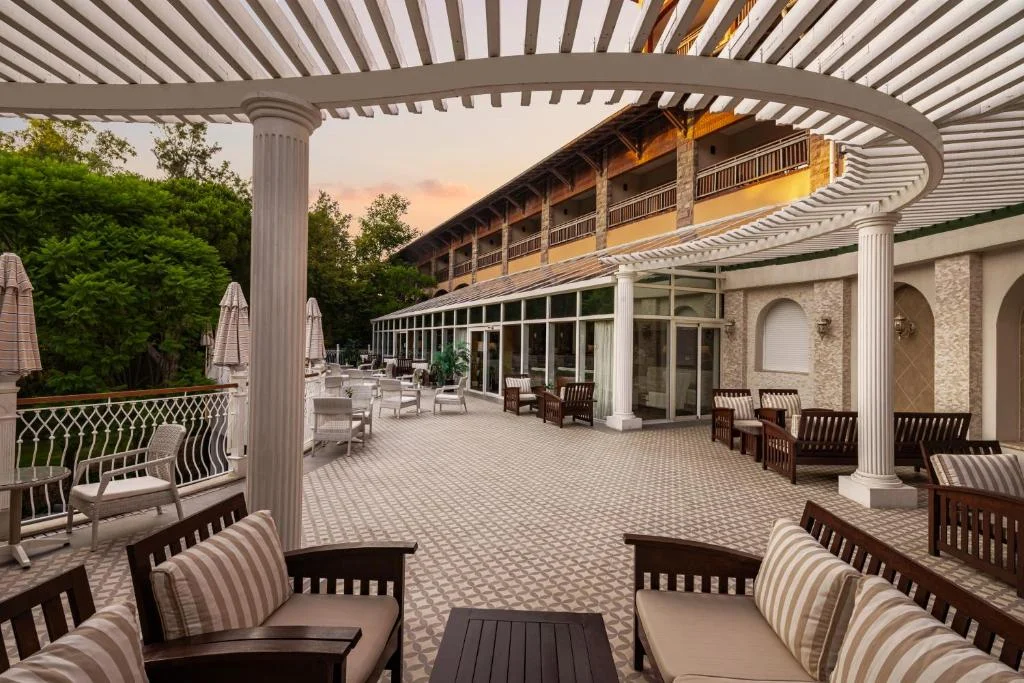 Papillon Belvil - Fotoja 8