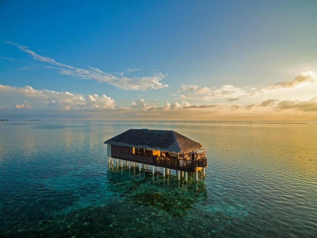 MEDHUFUSHI ISLAND RESORT - Fotoja 8